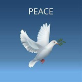 UoG CMHS Students peace forum