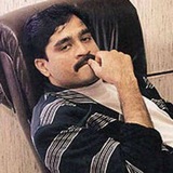π₯ Dawood Ibrahim Match Report π₯