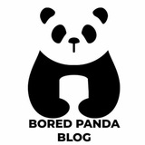 Bored Panda