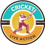 CRICKET LIVE ACTION ( FANTASY CRICKET And KABADDI EXPECTS )