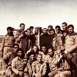 قوانین شاهد
