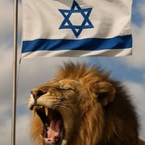 𓂆 HolyLand Facts Israel