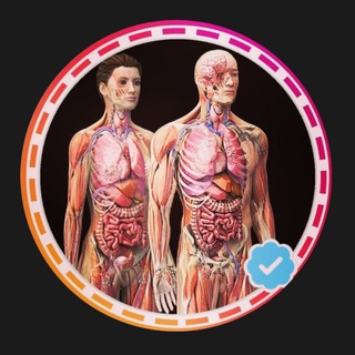 Anatomy Decoded