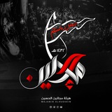 هيئة مجانين الحسين-البصرة