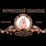 Мурманский свинопас