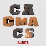 CACMACS ALERTS | UPDATES | CA NOTES |CMA NOTES | CA FOUNDATION| CA INTER | CA FINAL | CMA FINAL INTER | Foundation Result