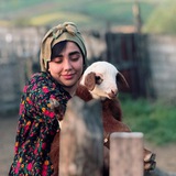 Meshkaat_art