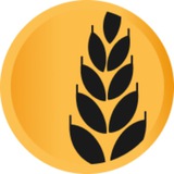 LuaSwap Official Announcement
