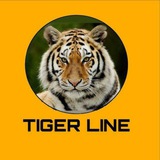 TIGER LINE โข