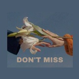 DON'T MISS