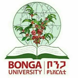 Bonga University