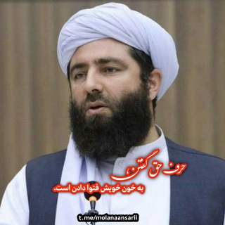 شهید مولانا مجیبالرحمن انصاری