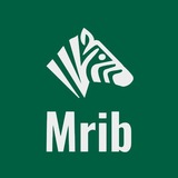 Mrib biology