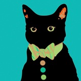 El gato político