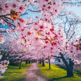 🧚♀کانال لایک وگیف🧚♀