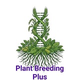 Plant Breeding plus