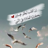 روح ملائكيه ❤️ ❤️