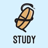 Study ®