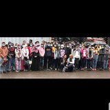Med Section Whole