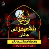 شاعر رنځور (هلالې جانان) کانال ✍🏼