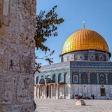 اِقتِبَاسَاتُ مُسلِمَة ❀