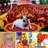 भारतीय संस्कृति रक्षा दल भारत (चैनल) 🚩