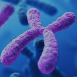 Genetics 1st year (new)