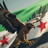 سوريا أونلاين