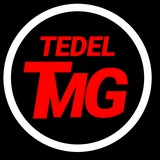 TEDEL Media Group