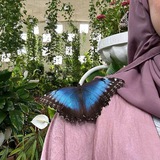 اِطمَئِني 🦋