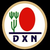 شرحDxn المعلومات الأساسية 1️⃣