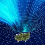 MathLiveOpen News