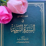 مختصر الجامع في السيرة النبوية