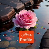 پروفایل،منظره Channel_profile#