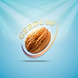 گردو۸۰ | GERDU80