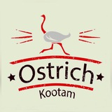 Ostrich kootam © • Announcements