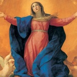 🇻🇦 Regnum Christi - O Reino de Cristo