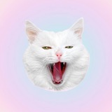 SOFIADELMONSTRO