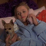 Elle Woods is calling