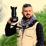 محمد الوجيه
