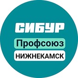 Профсоюз Нижнекамскнефтехим