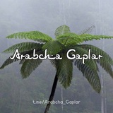 Arabcha Gaplar 🇸🇦