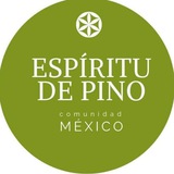 Espíritu de Pino México