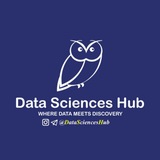 Data Sciences Hub 🦉