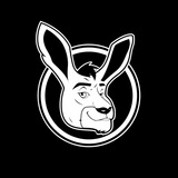 Kangamoon Official Announcement