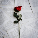 𝔻𝕦𝕪𝕘𝕦𝕤𝕒𝕝 𝕍𝕚𝕕𝕖𝕠𝕝𝕒𝕣 🌹