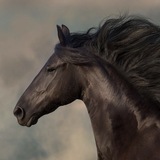 منفـى.