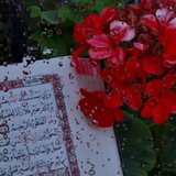 قݪبي اطمأن ..🩵