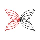 ๐ฅ IOG SPO Announcements