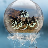 قناة أخبار قذانه